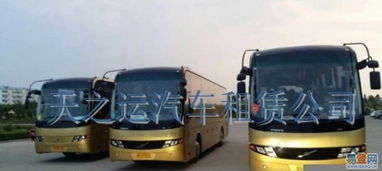 哈爾濱天之運(yùn)租車公司 道里新陽路易登網(wǎng)汽車租賃服務(wù)介紹